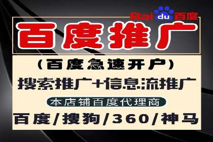 竞价推广策略：某电商平台的成功案例